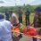 IMG 20230210 WA0056