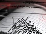 Gempa Magnitudo 6,6 Guncang Maluku Tenggara, Getaran Terasa Hingga Timika