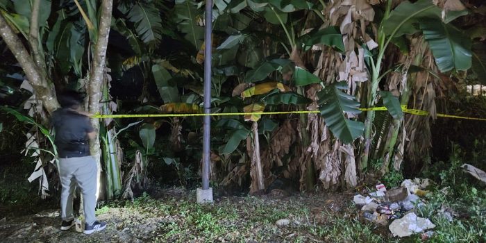 Ditemukan, Kabel Optik Terkelupas Nempel di Tiang Telkom di TKP Sopir Truk Meninggal Dunia