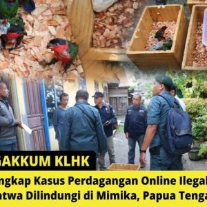 KLHK dan Polda Papua, Bongkar Praktek Perdagangan Online Satwa Dilindungi di Mimika