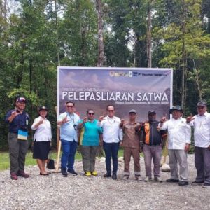 BBKSDA Papua Melepasliarkan 20 Satwa Dilindungi di Hutan Kuala Kencana