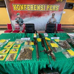 Dalam 4 Bulan, Operasi Damai Cartenz 2023 Sita 13 Pucuk Senjata Api dan Ratusan Butir Amunisi