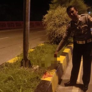 Hantam Tiang Listrik, Seorang Siswi di Jayapura Meninggal Dunia