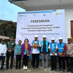 Dorong Penggunaan Energi Terbarukan, PLN dan Kementerian ESDM Hadirkan PLTMh Anggi di Pegaf