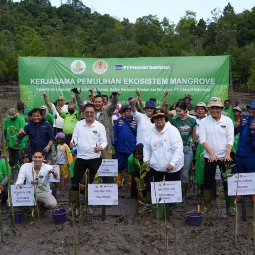 KLHK, BRGM, dan Freeport Indonesia Rehabilitasi 2.000 Hektar Lahan Mangrove di Kalimantan Timur