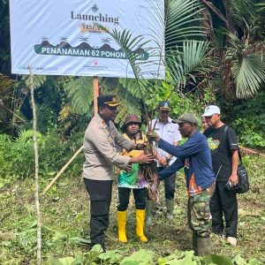 Ngebet Menikah, Anggota Polres Jayapura Wajib Tanam Pohon Sagu
