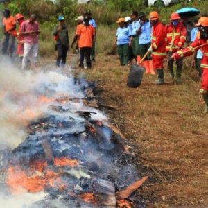 DLHK Papua-Freeport Simulasi Penanggulangan Bencana Kebakaran Hutan