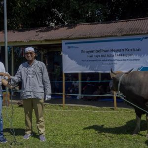 Momen Idul Adha 1444 Hijiriah, PLN Papua Salurkan 35 Hewan Kurban Termasuk di Timika