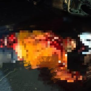 Bunuh Tukang Ojek di Nabire, Jubir TPNPB Ingatkan Pedagang Tidak Beroperasi di Daerah Konflik : akan Dieksekusi Mati