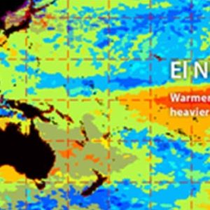 Mimika Tidak Terpengaruh Dampak El Nino, Hal ini Penyebabnya….