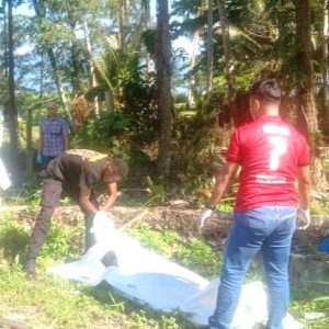 Diduga Korban Tabrak Lari, Pria ODGJ Tanpa Indentitas Ditemukan Tewas di Holtekamp