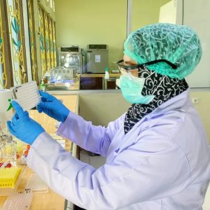 Deteksi Virus Flu Burung, Karantina Hewan Timika Periksa 16 Sampel Darah Ayam