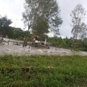 Akibat Kerusakan Hutan Banjir Sering Landa Iwaka, DPRP Papua Minta PT PAL Tidak Lepas Tanggung Jawab