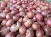 Sering “Banjiri” Kota Timika, Produksi Bawang Merah Bima Tembus 102.655 Ton