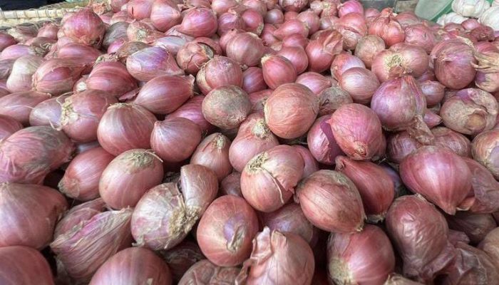 Sering “Banjiri” Kota Timika, Produksi Bawang Merah Bima Tembus 102.655 Ton
