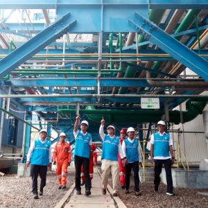 Resmikan Plant Pertama di Indonesia, Kementerian ESDM: PLN Miliki Cara Paling Cepat Hasilkan Green Hydrogen