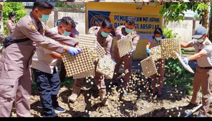 Tak Patuh Karantina, 250 Kilogram Telur Asal Tulungagung Dimusnahkan