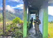 Pemungutan Suara di Sembilan Daerah Operasi Damai Cartenz Berjalan Aman, Tidak Ada Gangguan dari KKB Papua