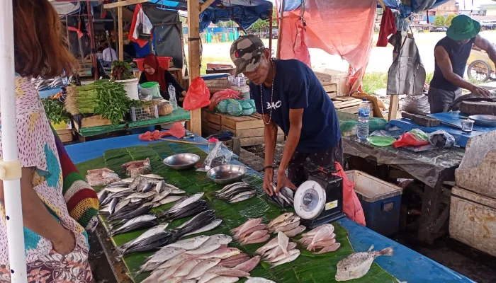 Timika “Banjir” Ikan, Harga Murah-meriah Selama Sepekan di Eks Pasar Swadaya, Begini Pengakuan Pedagang