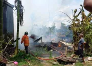 Kapolsek Limbong: Kebakaran Rumah di SP 2 Dipicu Korek Api
