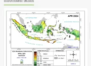 BMKG Ingatkan 15 Daerah Termasuk Papua dan Papua Barat Berstatus Waspada Dampak Cuaca Ekstrem