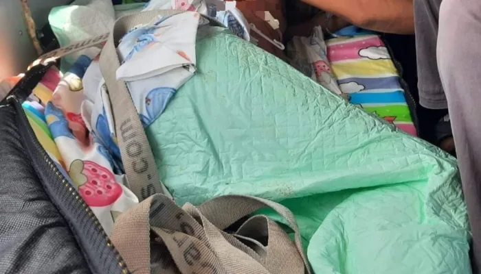 Pelaku Penikaman yang Tewaskan PNS Inspektorat Daerah Kabupaten Yahukimo Ditangkap