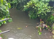 Hujan Deras Kota Timika Telan Korban, Bocah 8 Tahun Terbawa Banjir di Jalan Pendidikan