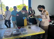 Ratusan Ekor Kadal Soa Payung dan Biawak Cokelat Nyaris Diselundupkan Melalui Bandar Udara Mopah Merauke
