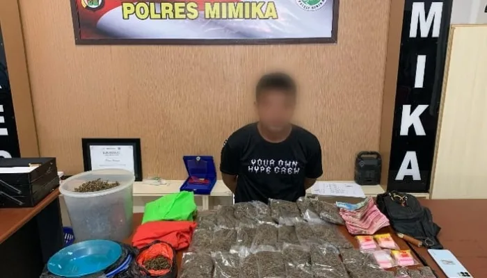 Grebeg Dua Lokasi, Satresnarkoba Polres Mimika Sita 2,76 Kilogram Ganja dan Tangkap Satu Pelaku
