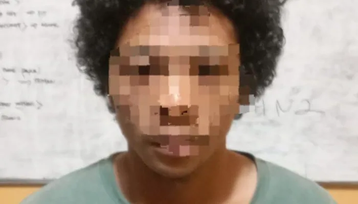 Aksi Penikaman Seorang Ibu Rumah Tangga Terekam Kamera CCTV, Pelaku Berhasil Dibekuk di Lapangan Jayanti Timika