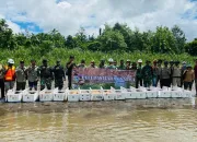 Freeport Dukung BBKSDA Papua Lepas Liarkan 1.900 Kura-Kura Moncong Babi di Hutan Adat Nayaro