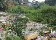 Sampah Tutupi Aliran Sungai Hingga Sebabkan Banjir, Warga Busiri Ujung Keluhkan Bau Busuk