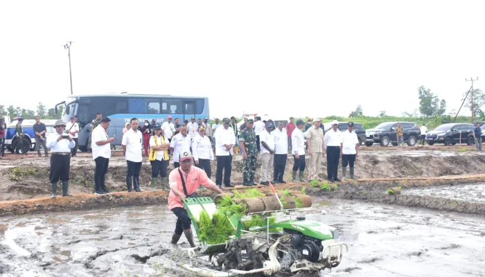 Dampingi Mentan RI Tanam Perdana 40.000 Ha, Pangdam Cenderawasih : Yonif 757/GV Sebagai Prototipe Produksi