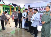 Jelang Hari Raya Idul Adha 1445 H, Kapolda Papua Salurkan Hewan Kurban di Biak Numfor