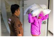 Lolos Pemeriksaan Karantina, 13 Ton Bawal Hitam Beku asal Timika Dikirim ke Jakarta