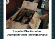 IMG 20240622 WA0003