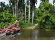 PLN Ajukan 3 Triliun PMN 2025 Untuk Bangun Kelistrikan Daerah Terpencil