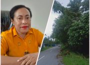 IMG 20240713 WA0001