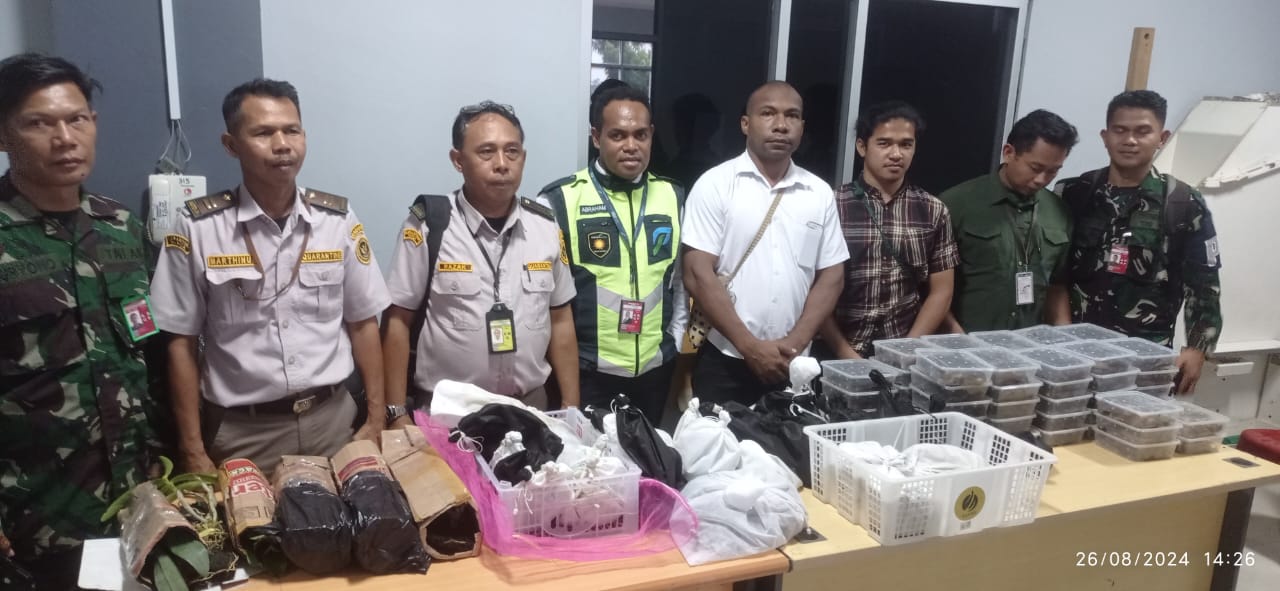 Sejumlah satwa liar yang diamankan petugas bandara