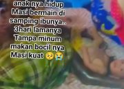 IMG 20240831 WA0002