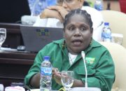 Soal Pengumpulan KTP dan Kartu Keluarga, Aktivis Peduli Masyarakat Mimika : Itu Praktek Pelanggaran Pilkada yang Sangat Serius