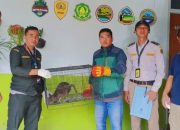 Penyelundupan Kangguru Tanah Lewat KM. Dempo Digagalkan Petugas Badan Karantina Papua Tengah
