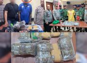 Bawa Ganja, Dua Calon Penumpang Kapal Pelni Dibekuk Polisi di Pelabuhan Jayapura