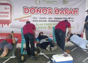 Rayakan Setengah Abad Hari Jadi, Yayasan Al Ishlah Bondowoso Gelar Jalan Syukur dan Budaya