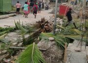 Gara-gara Seorang Warga Koperapoka Tebang Pohon Kelapa, Listrik Satu Kota Timika Padam