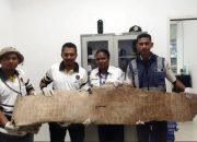 Karantina Amankan Kulit Buaya dan Burung Cenderawasih di Bandara Mopah Merauke