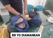 IMG 20241127 WA0012