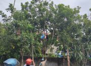 IMG 20241202 WA0034