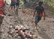 Dituduh Tipu Warga Sipil di Yahukimo, OPM Bantai Satu Pimpinan TRWP, Dua Orang Berhasil Meloloskan Diri