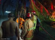 Hendak Bakar Limbah Ban, Api Sambar Pohon Kelapa, Tim Damkar Diterjunkan Padam Kobaran Api di SP 1 Timika